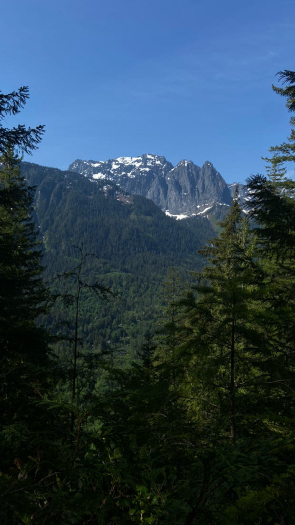Mountain view through the trees